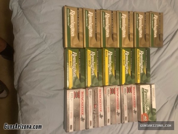223 Hunting Ammo