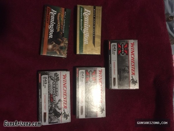 243 Ammo