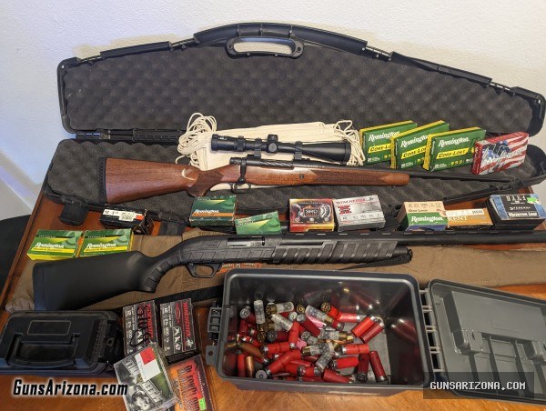 Rifle, Shotgun, and gun cabinet