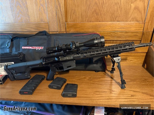 AR10 .308 + case + ammo + mags