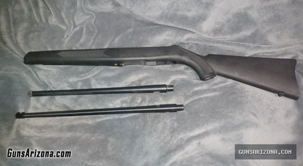 Ruger 1022