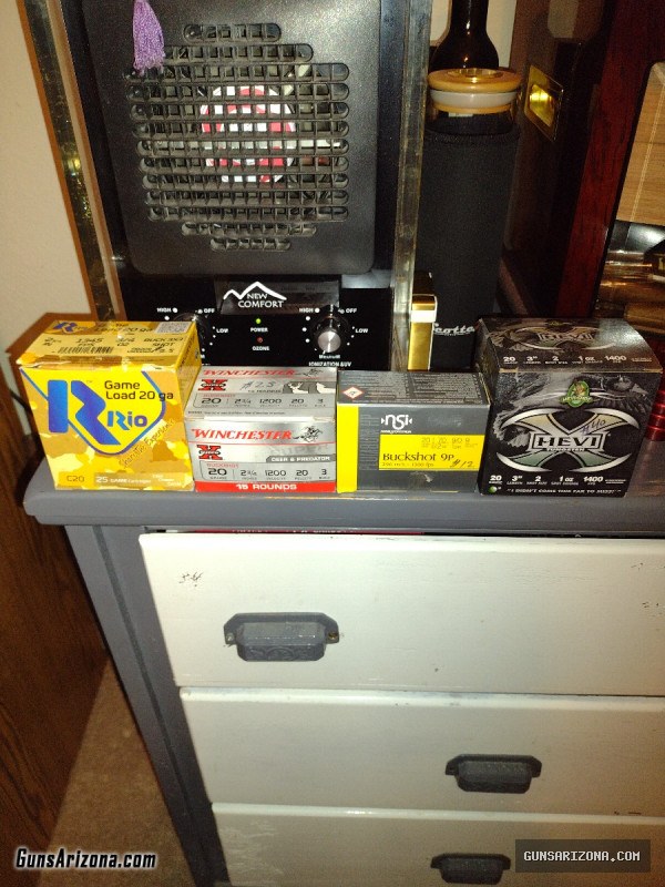 20 Gauge Buckshot
