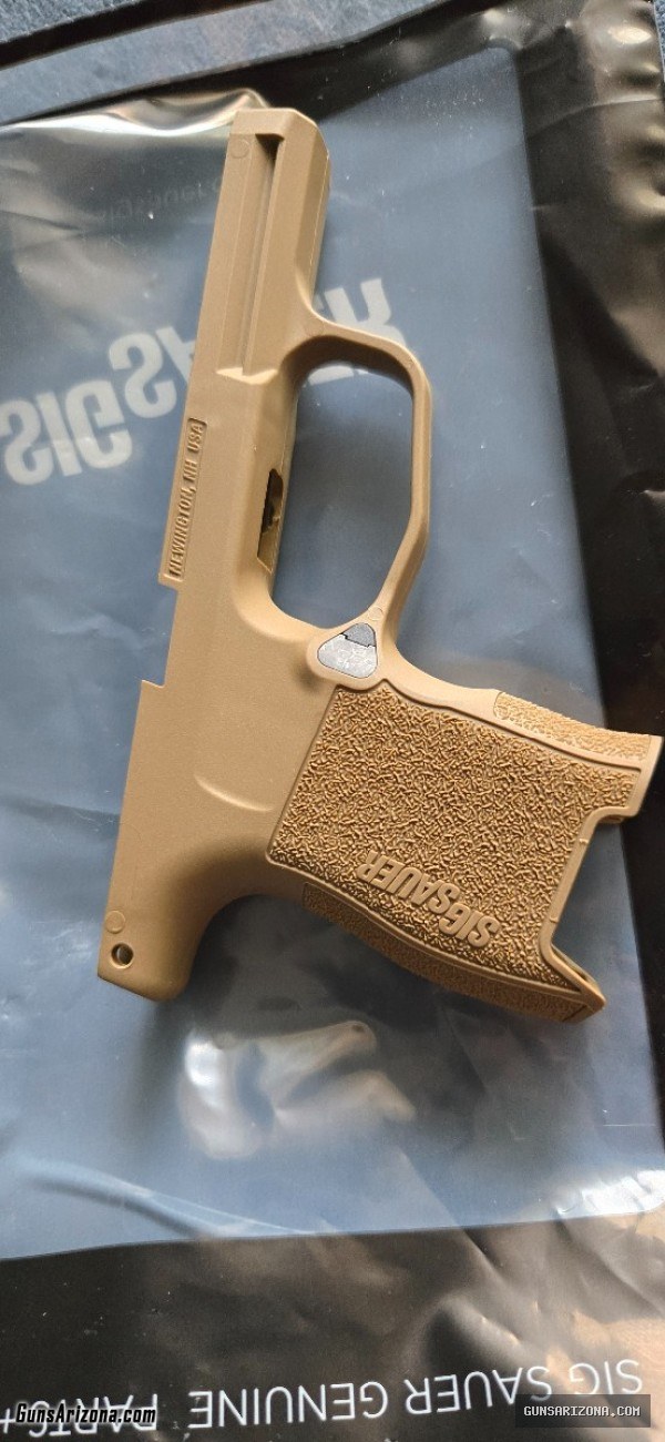Sig grip module