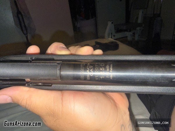 Gammo black cat pellet rifle