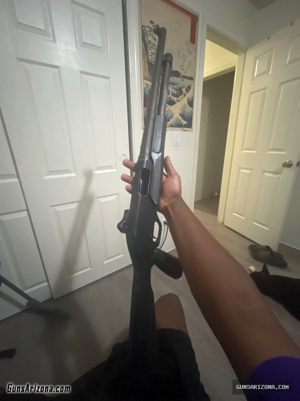 Savage Steven’s 320 12 guage