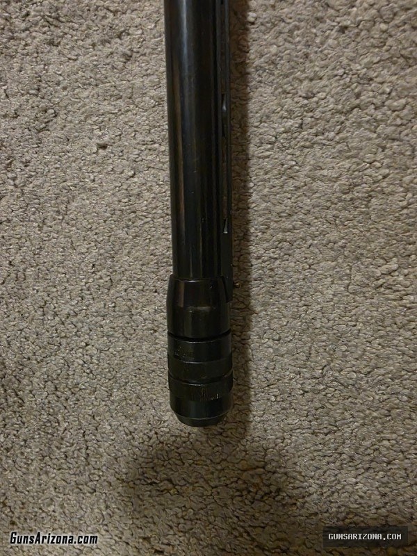 Sears 12 gauge