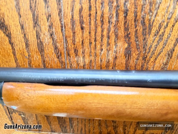 Remington 742 in 308