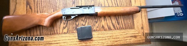 Remington 742 in 308