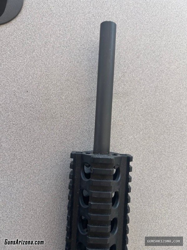 Smith & Wesson AR15-22 22lr