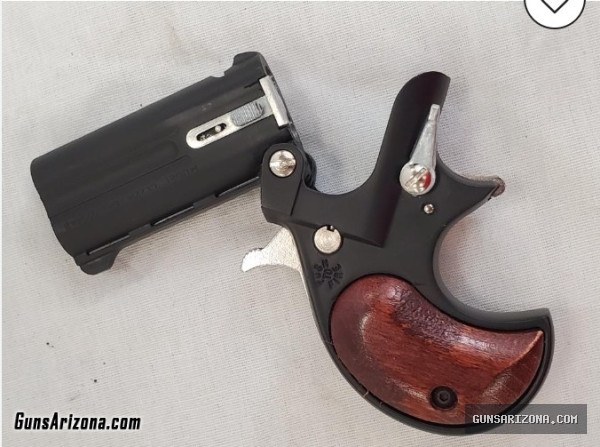 LOOKING For 22 Mag Derringer