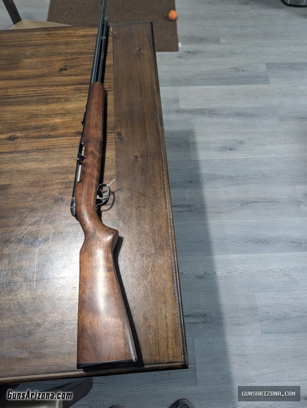 Remington 550-1 semi auto 22