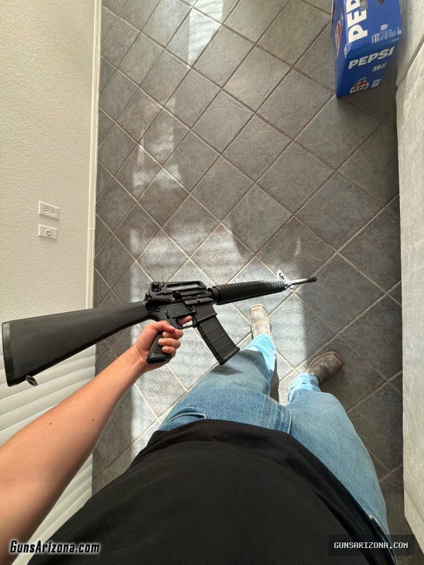 AR 15