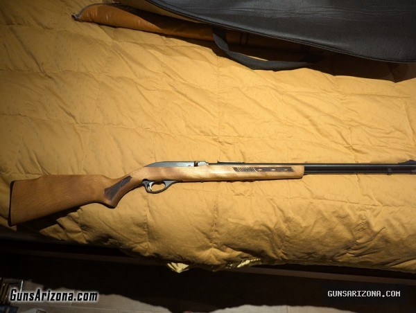 GlenField Marlin model 60 .22