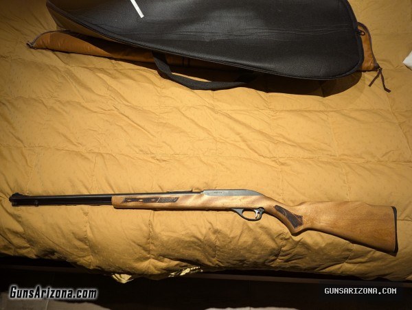 GlenField Marlin model 60 .22