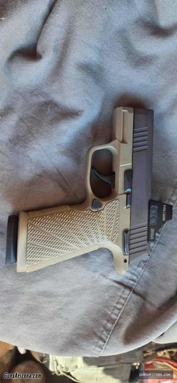 Sig p365