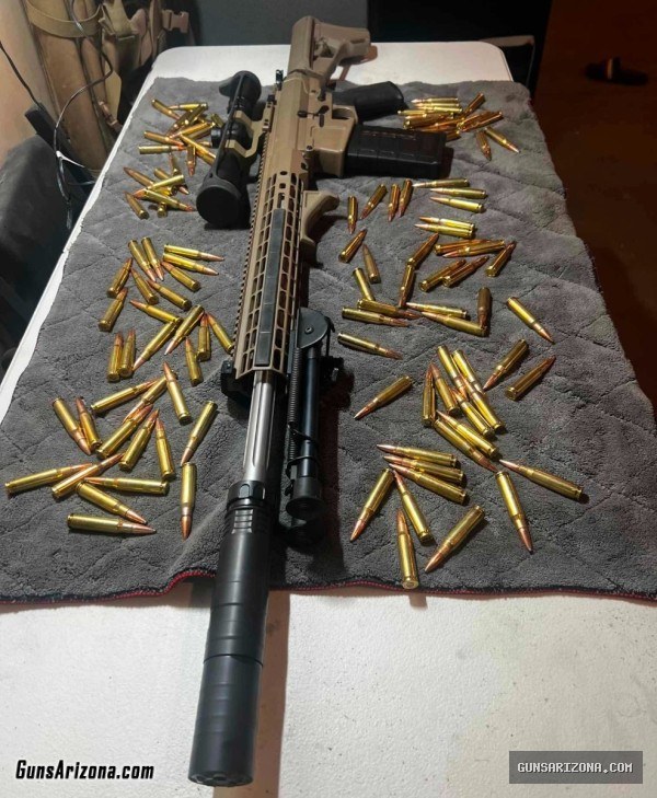 Aero precision 308 cal AR10 with leopold FX freedom.