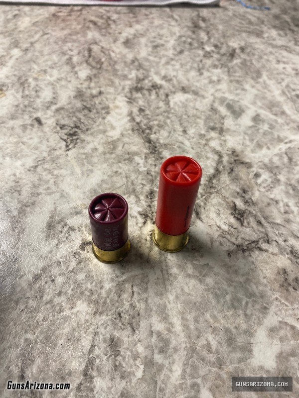12g mini slugs and buckshot