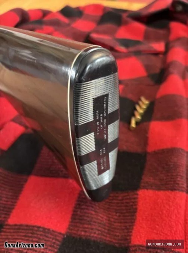 Remington Nylon Mohawk 10-C with Weaver K4 scope and spare mag