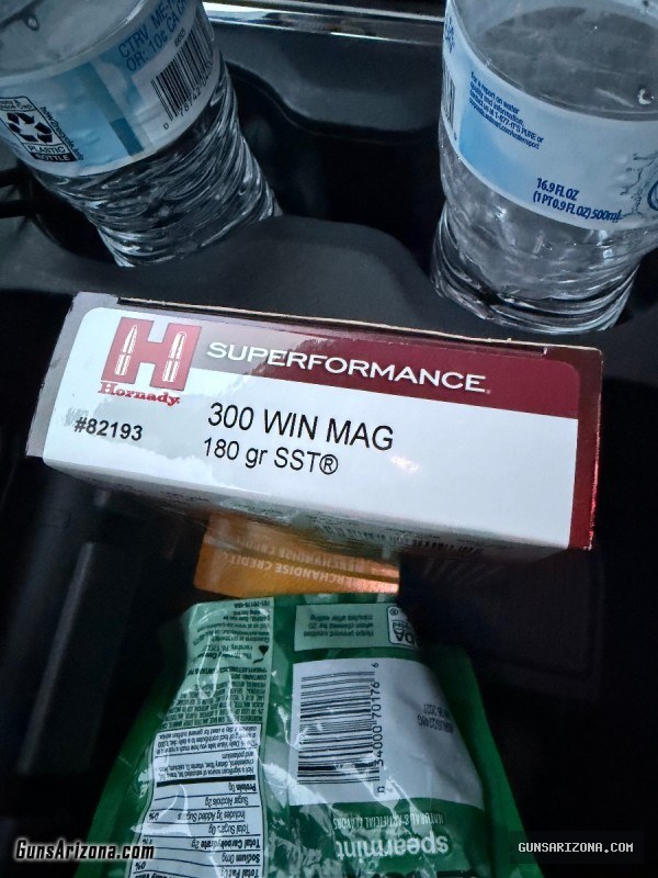 Hornady 300 win mag