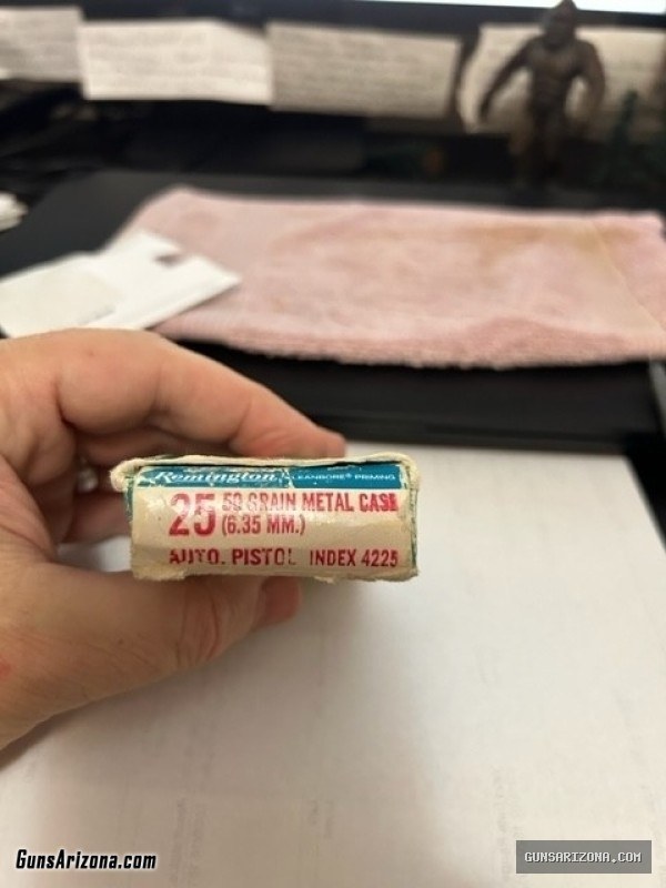 .25 Auto Ammo