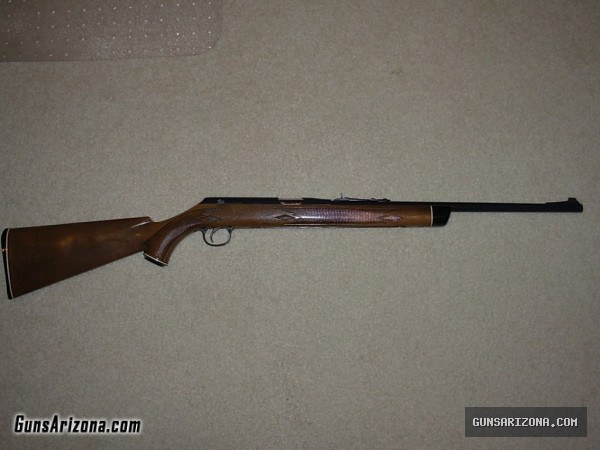 Daisy & Heddon VL 22 Rifle