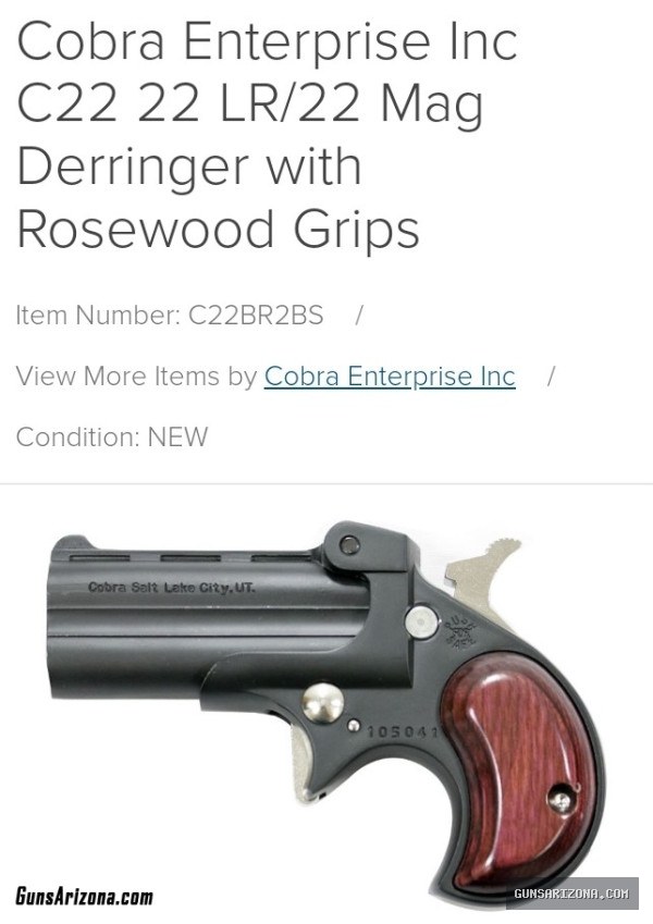 LOOKING For 22 Mag Derringer