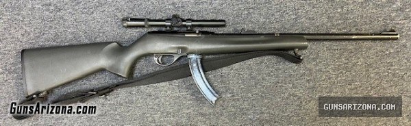 Remington 597 .22 Long Rifle Semi-Auto Rifle