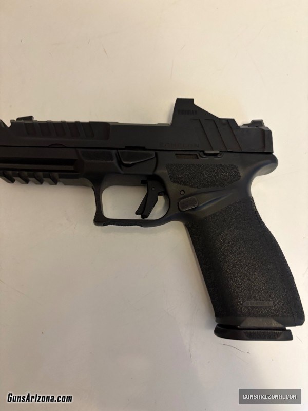 Pistol