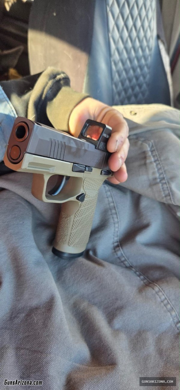 Sig p365