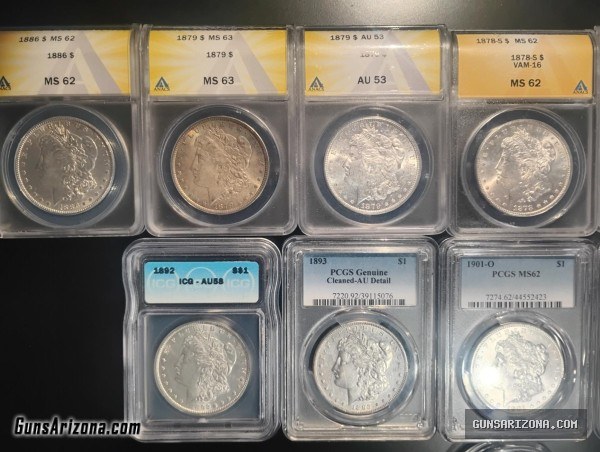 Morgan Silver Dollar Collection (SILVER) 133 COINS! 3 KILOS  7 POUNDS