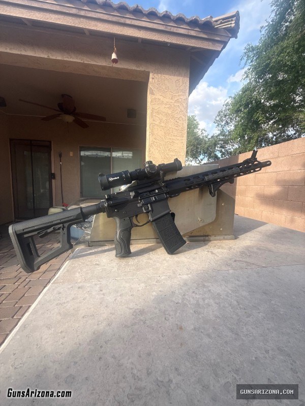 ZRO DELTA ZULU2 223 WYLDE Custom build !