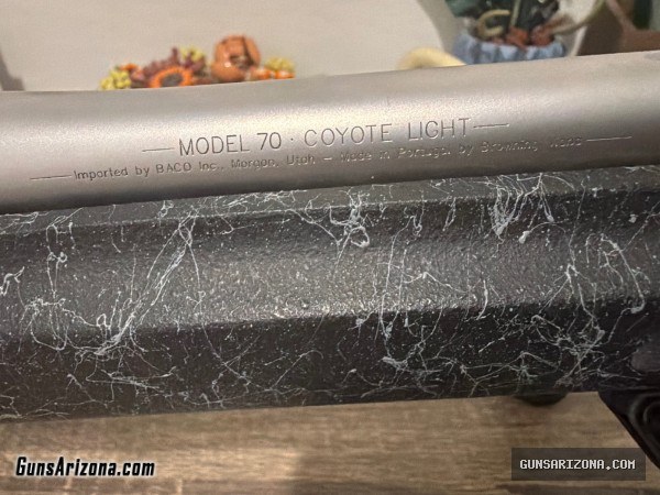 Winchester Model 70 Coyote Light