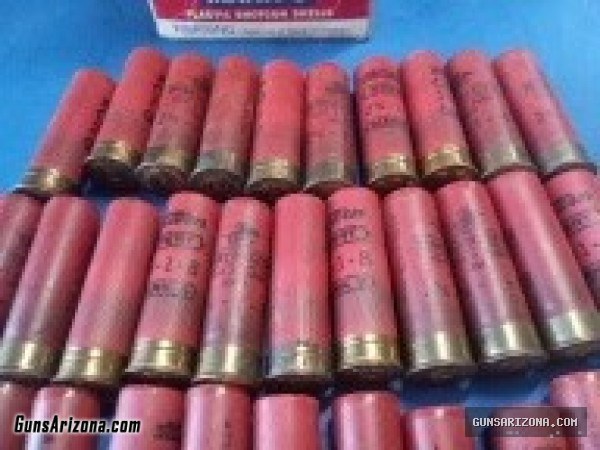 Shotgun Shells