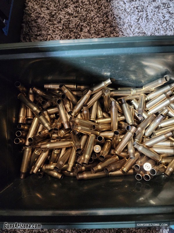 Various Brass (5.56, 9mm, .45 ACP, .38 Special)