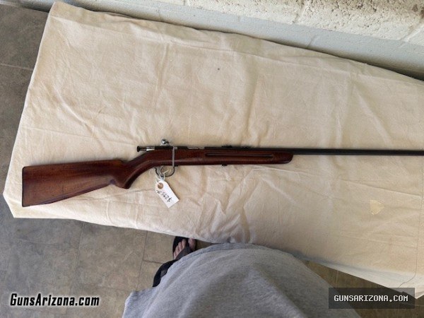 Remington Model 33 .22