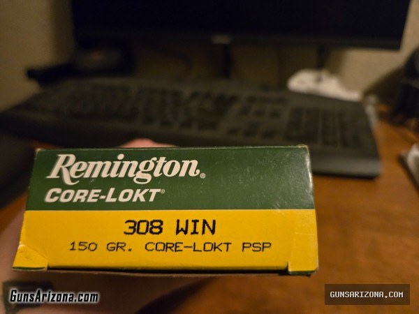 308 win mag ammo