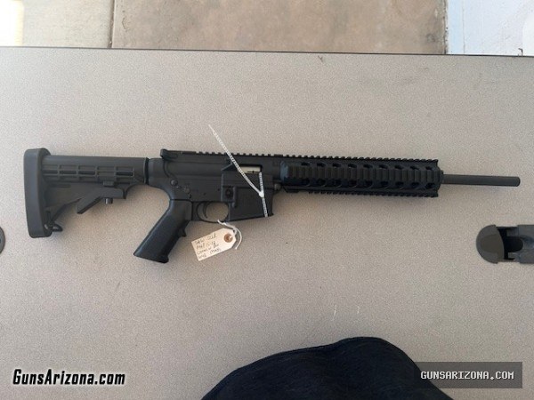 Smith & Wesson AR15-22 22lr