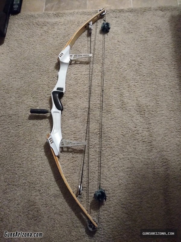 Citation Bow w/ 12 Arrows, Sock, & Accessories