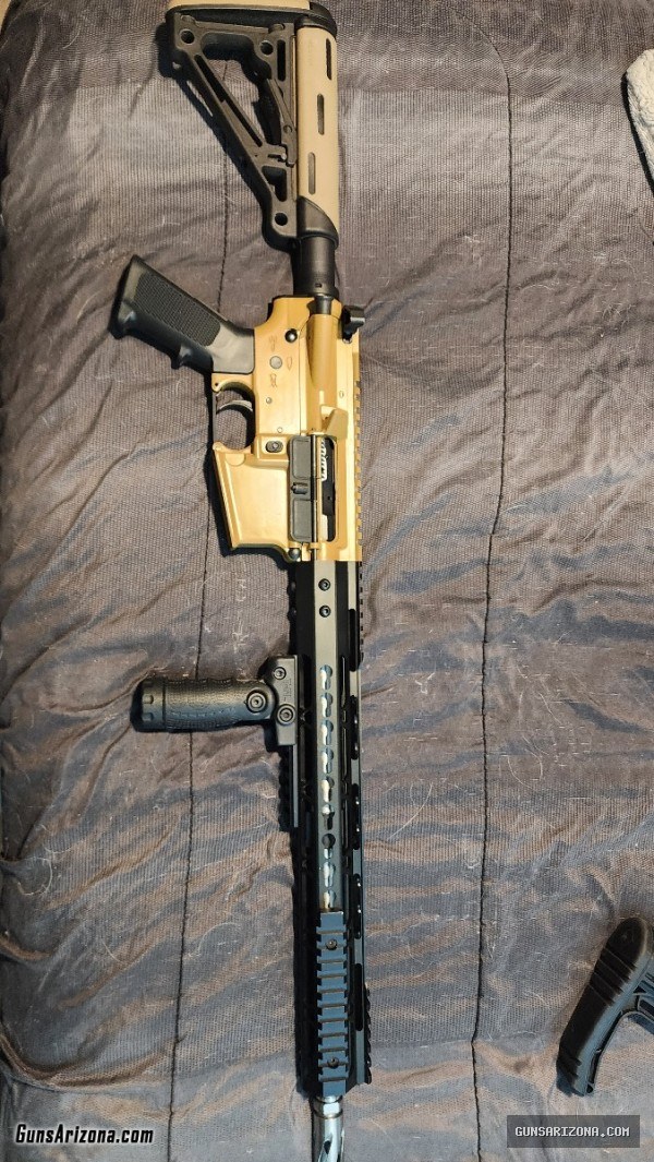 Custom Build 556