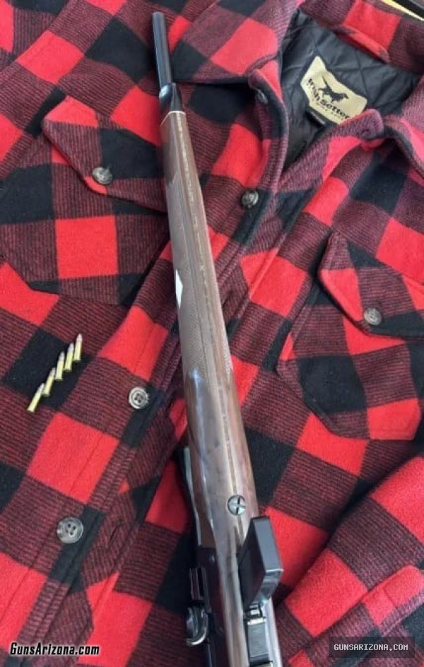 Remington Nylon Mohawk 10-C with Weaver K4 scope and spare mag