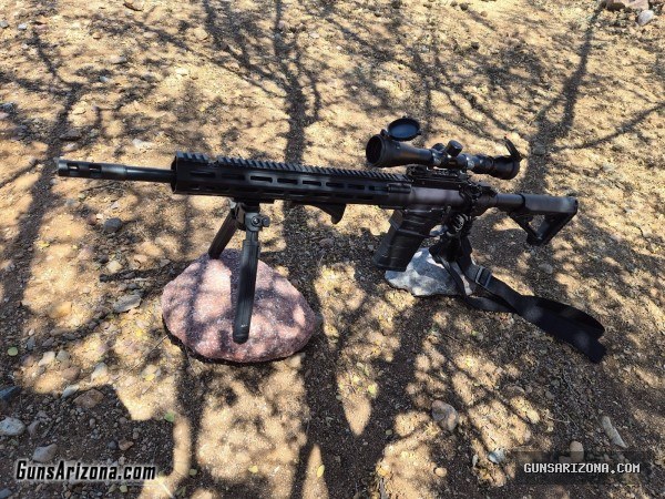 Savage arms ar-10 6.5 Creedmoor