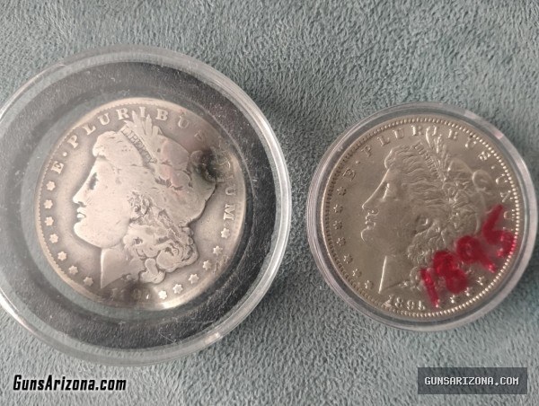 Morgan Silver Dollar Collection (SILVER) 133 COINS! 3 KILOS  7 POUNDS