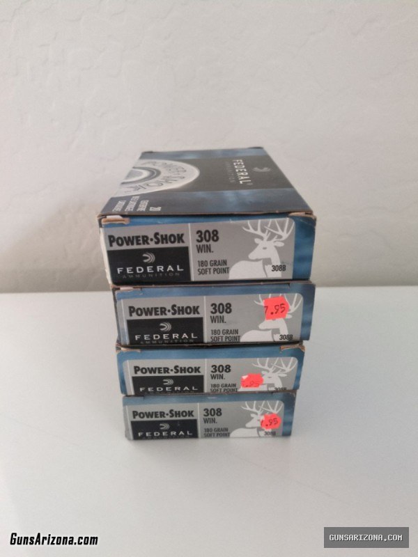 .308 Win. Ammo