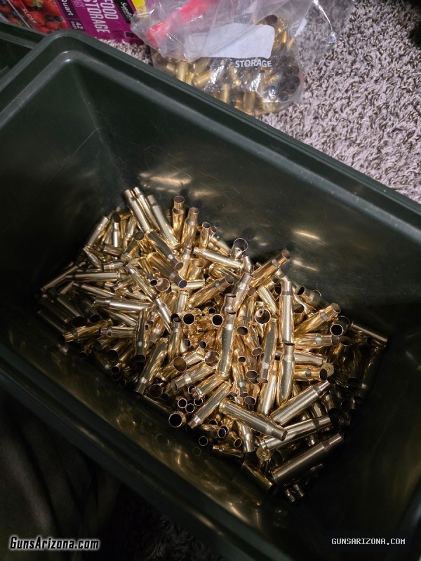 Various Brass (5.56, 9mm, .45 ACP, .38 Special)