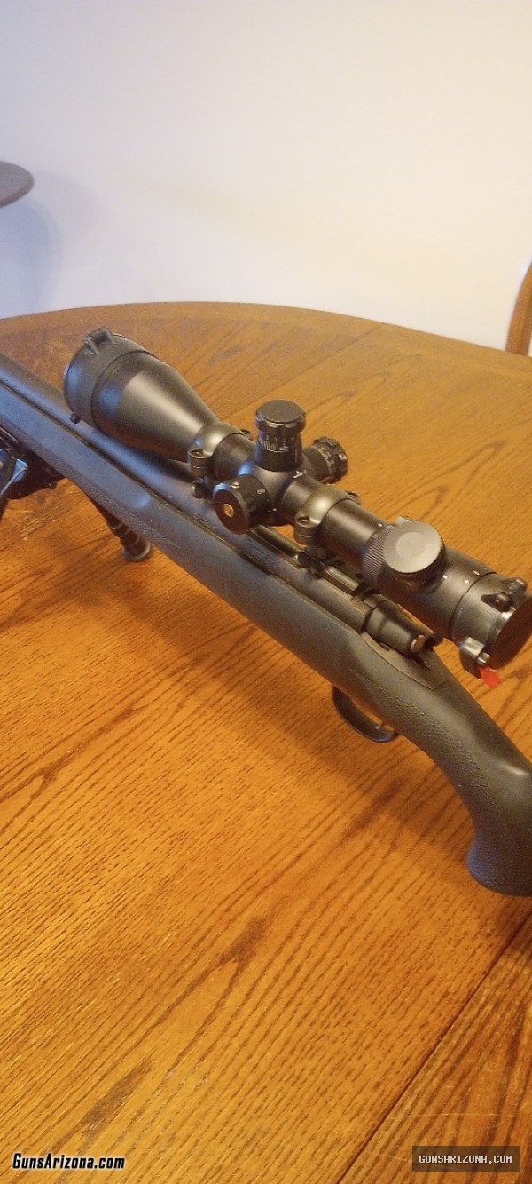 Remington 700 Tactical 308