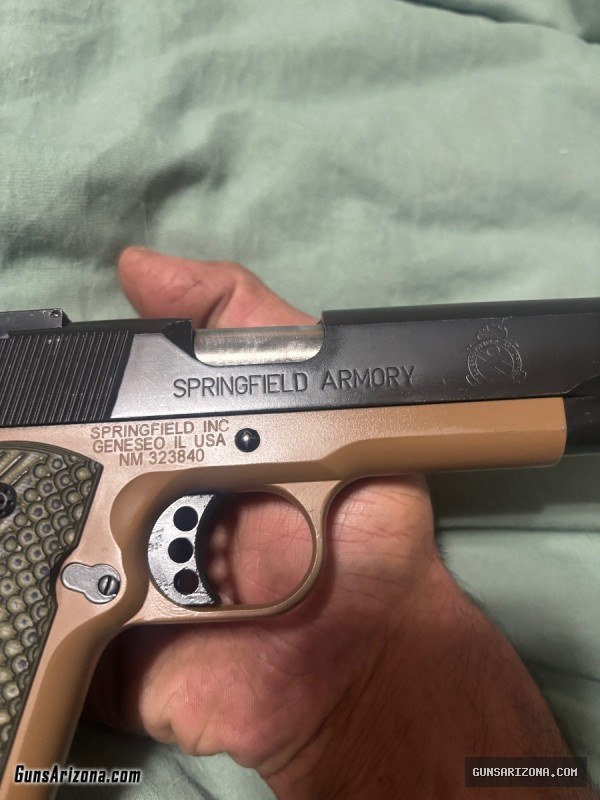 Springfield armory