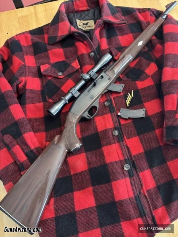 Remington Nylon Mohawk 10-C with Weaver K4 scope and spare mag