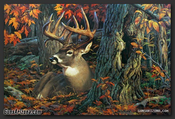 LEON PARSON WILDLIFE ART PRINTS