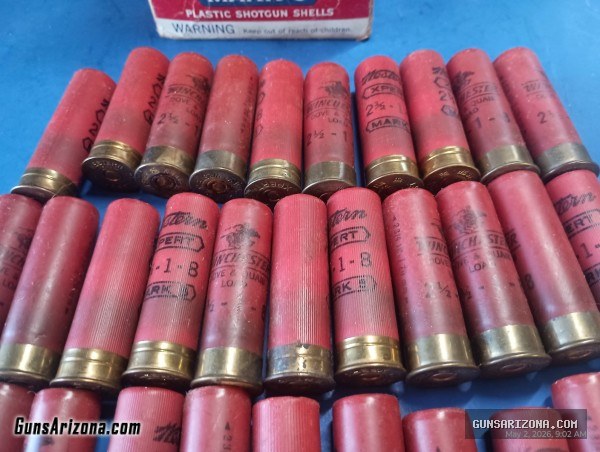 Shotgun Shells