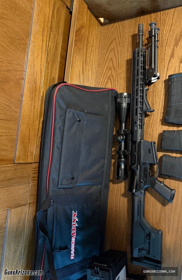 AR10 .308 + case + ammo + mags